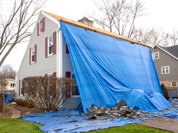 Shed Removal in De Soto, MO